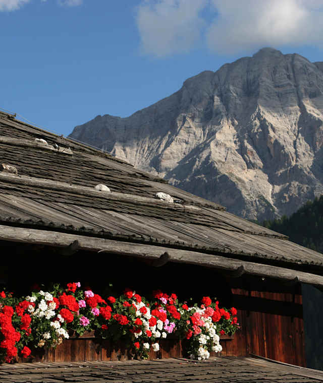 Bauernhof in La Val/Wengen